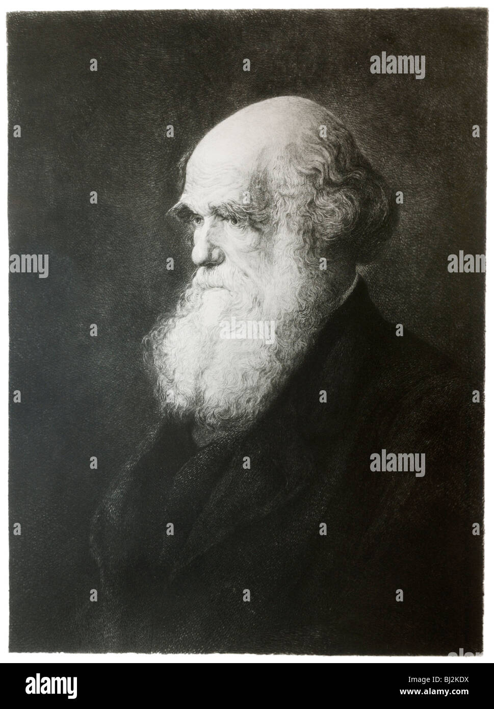 Charles Darwin, portrait, dans ses dernières années Banque D'Images