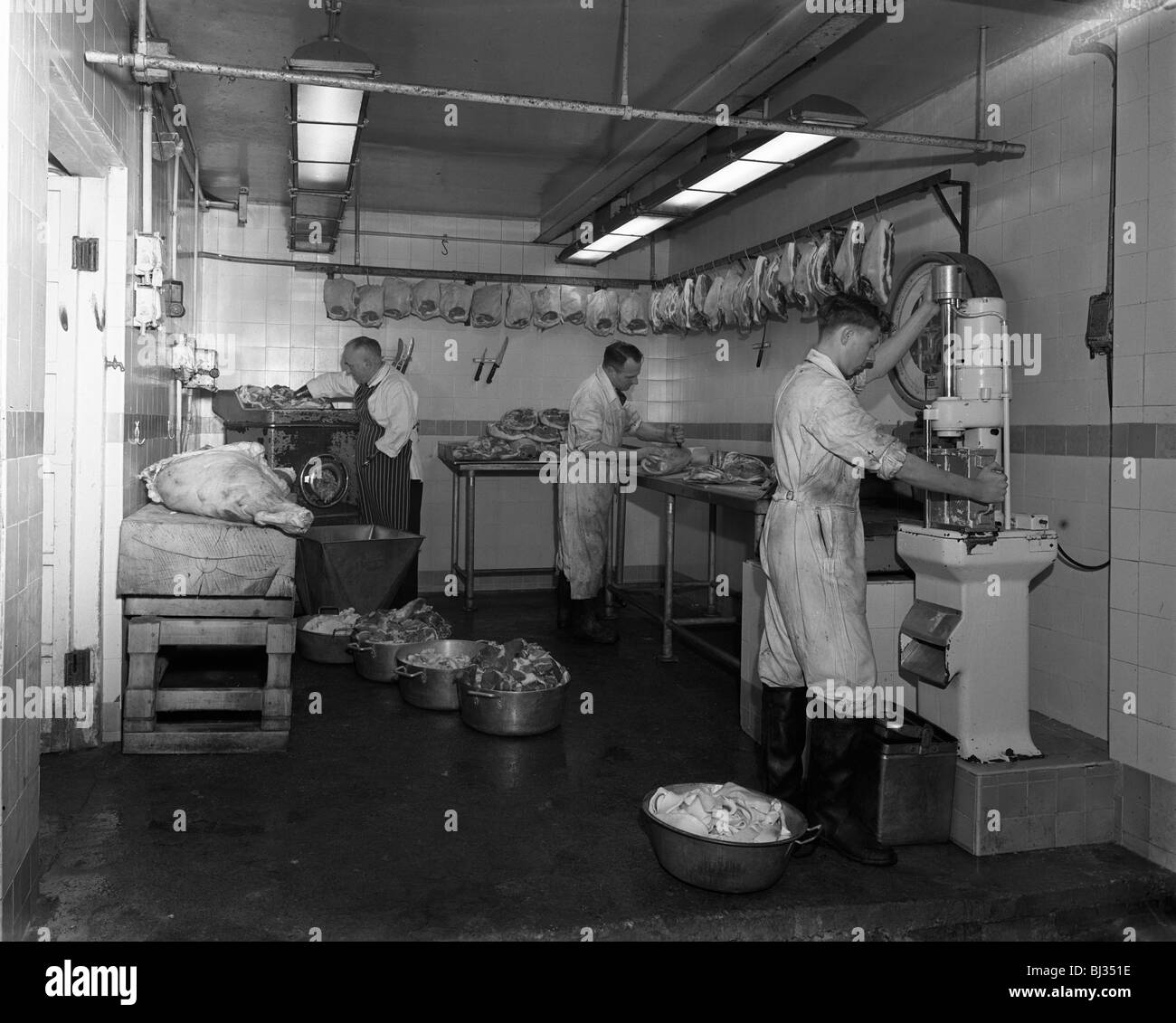 L'Schonhut bouchers, Rotherham, South Yorkshire, 1955. Artiste : Michael Walters Banque D'Images