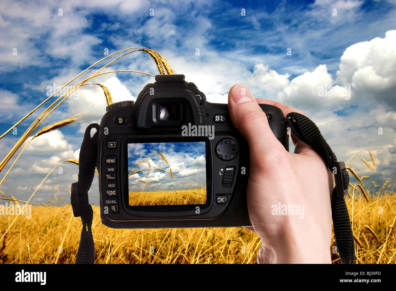 L'homme de prendre une photographie de paysage avec un appareil photo numérique Banque D'Images
