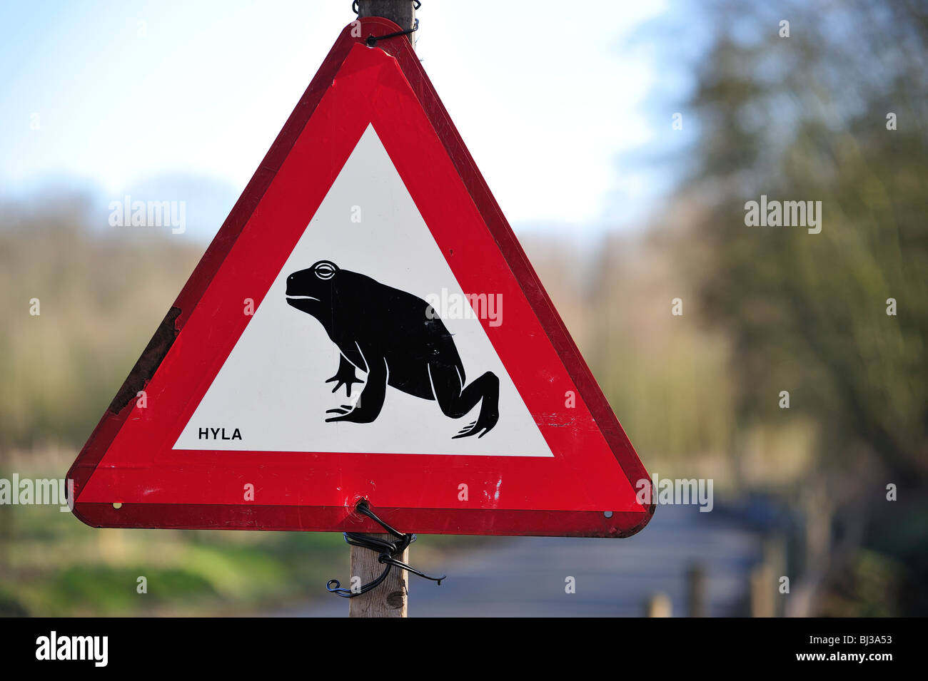 Panneau d'avertissement pour les amphibiens / crapauds traversant la rue pendant la migration annuelle au printemps, Belgique Banque D'Images