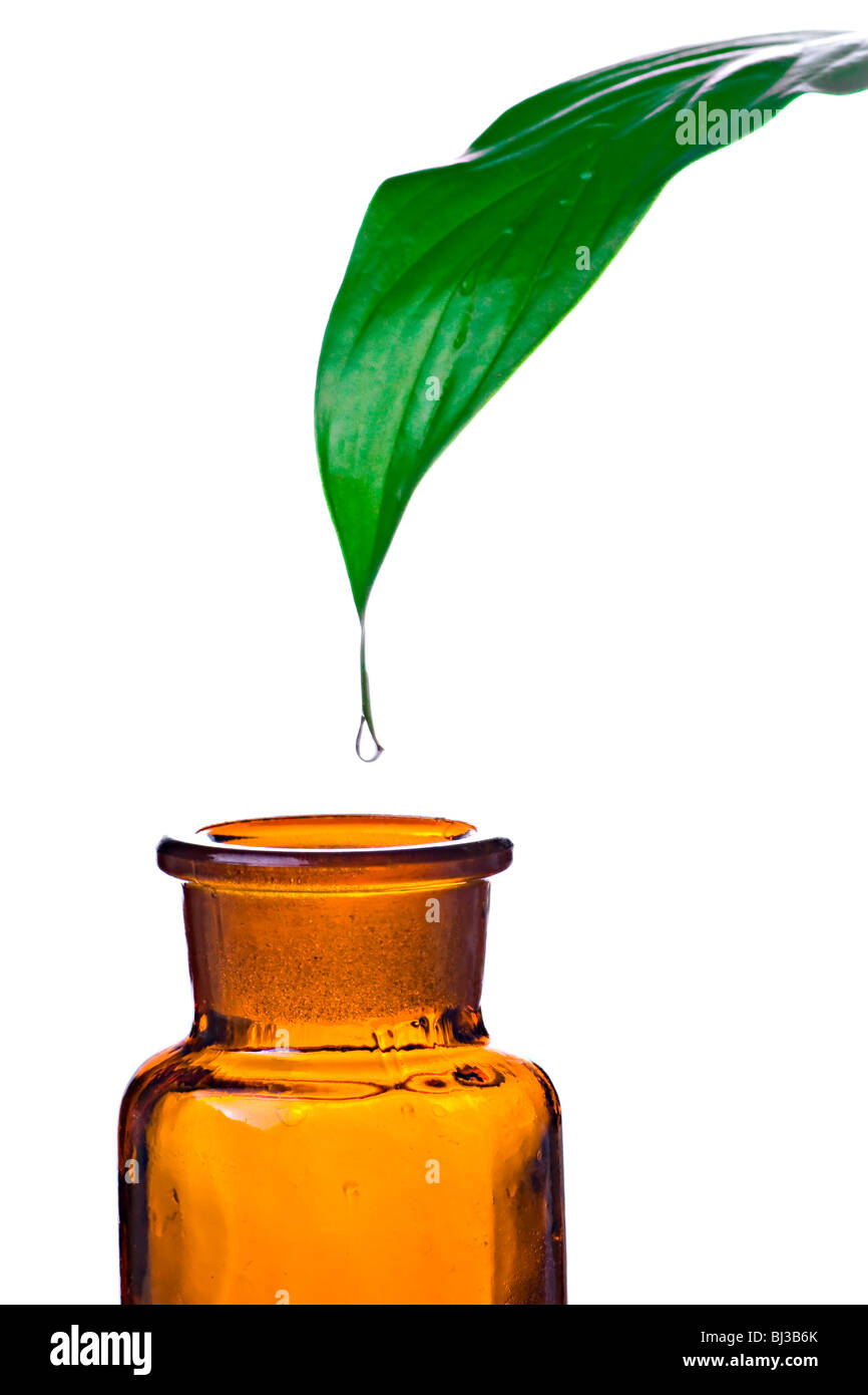 Une feuille de frais tropicaux avec une goutte d'eau au-dessus d'une bouteille en verre. Banque D'Images