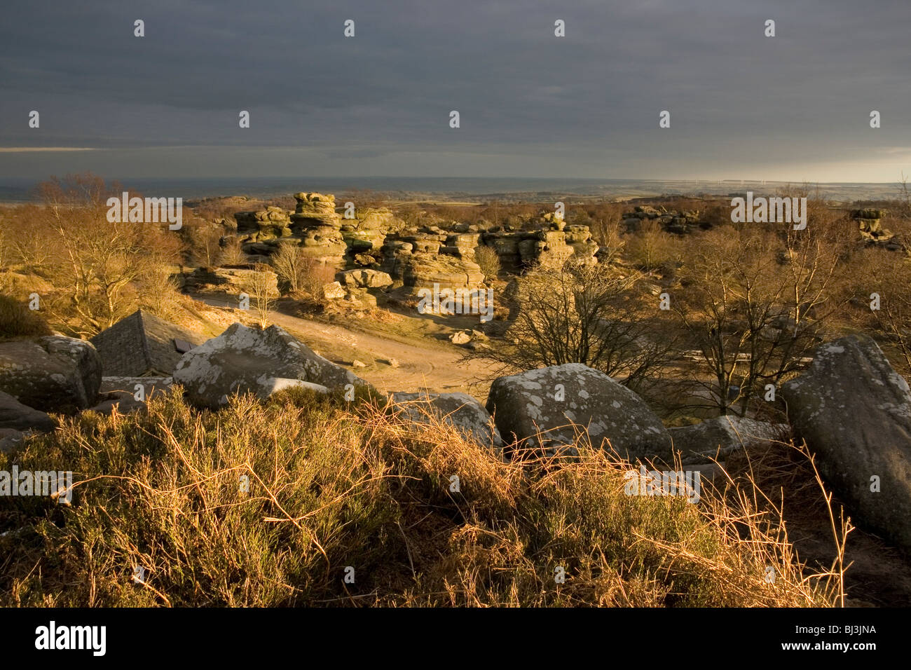 Les éléments ont sculpté d'étranges formations rocheuses dans la meule à grain Brimham Rocks dans Nidderdale, Yorkshire du Nord Banque D'Images