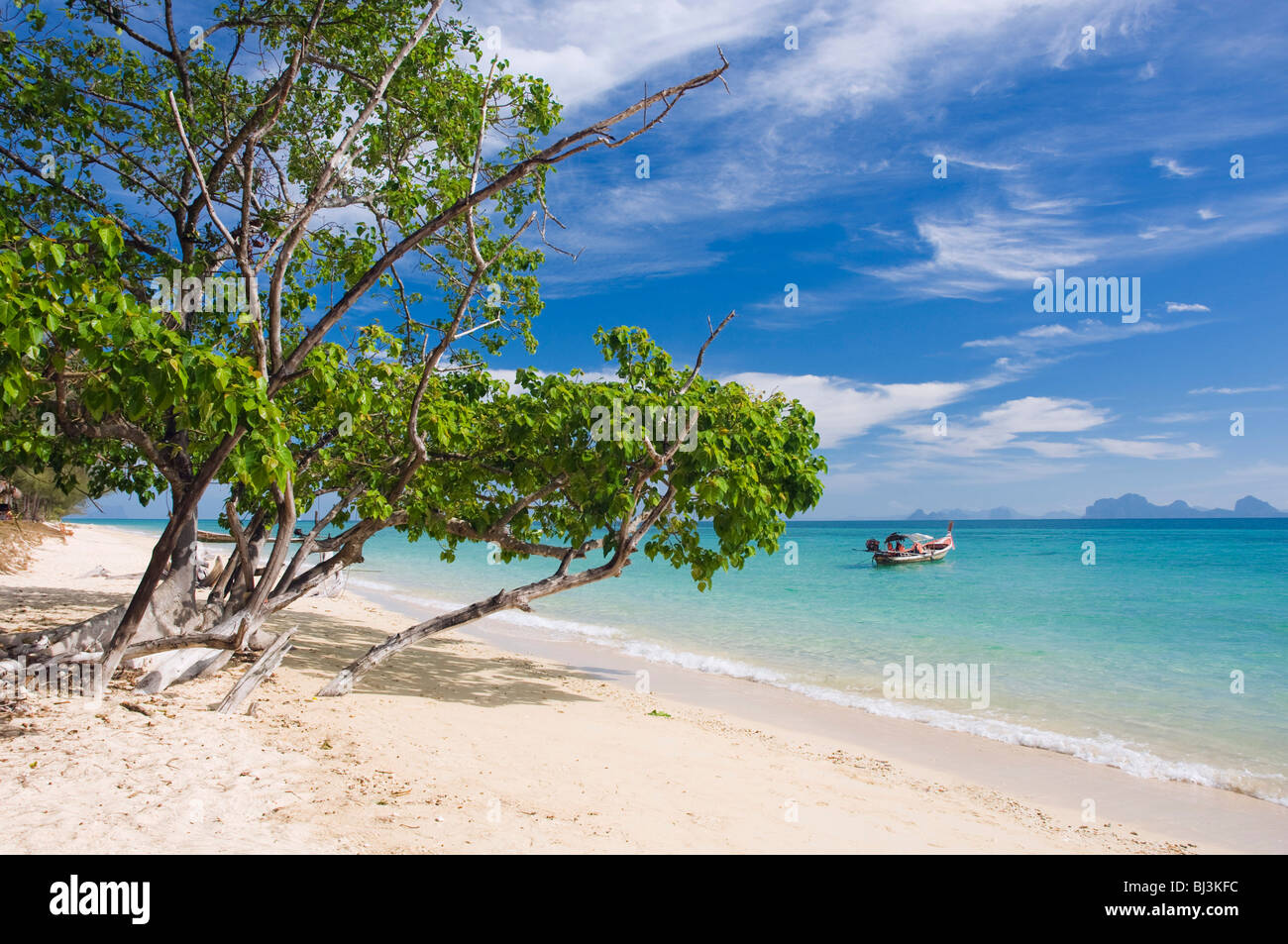 Plage de sable fin, Ko Hai ou l'île de Koh Ngai, Trang, Thaïlande, Asie Banque D'Images