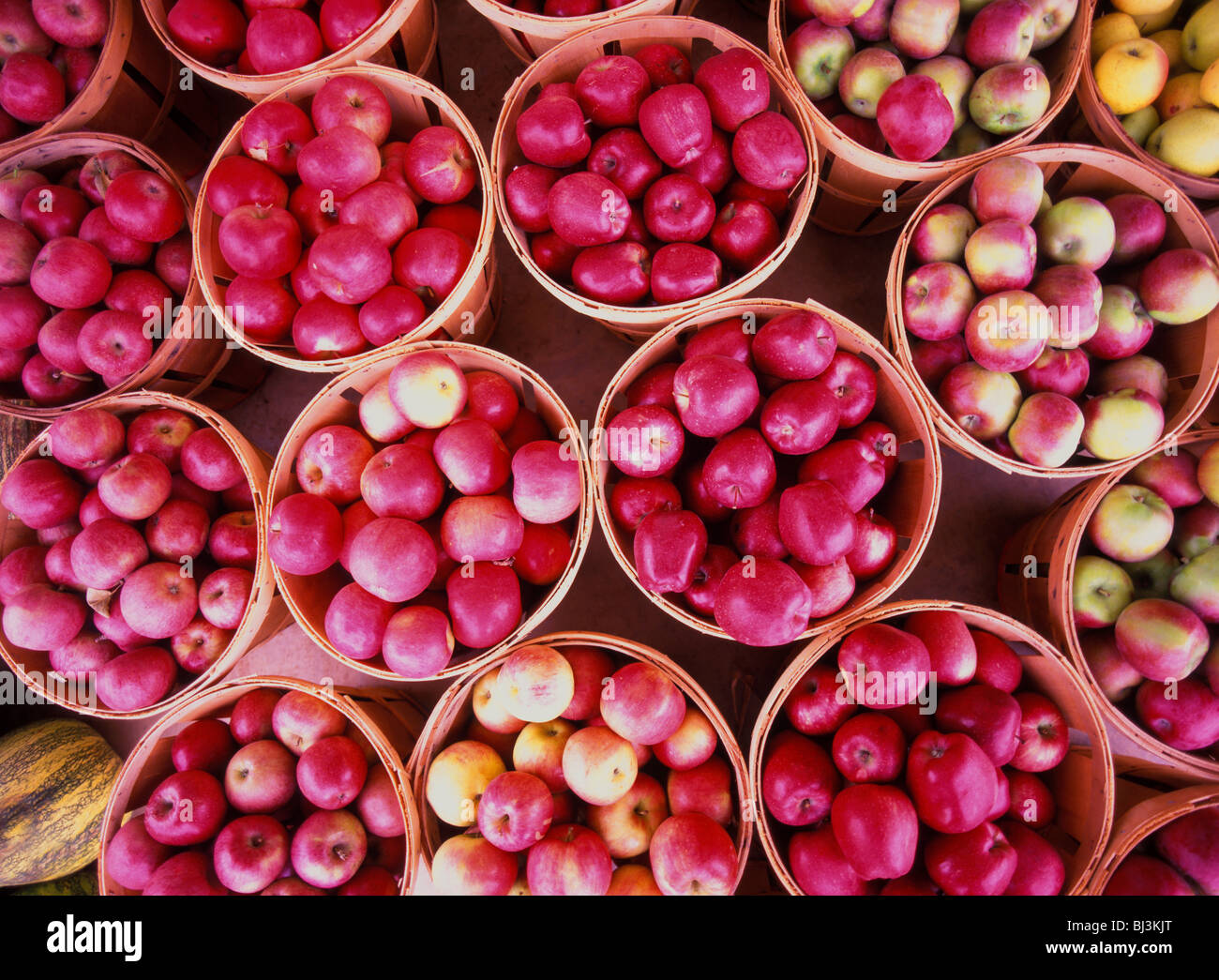 Variété de pommes stockées dans des paniers affichées dans un marché de producteurs, l'automne dans le comté de Lancaster, Pennsylvanie, USA Banque D'Images