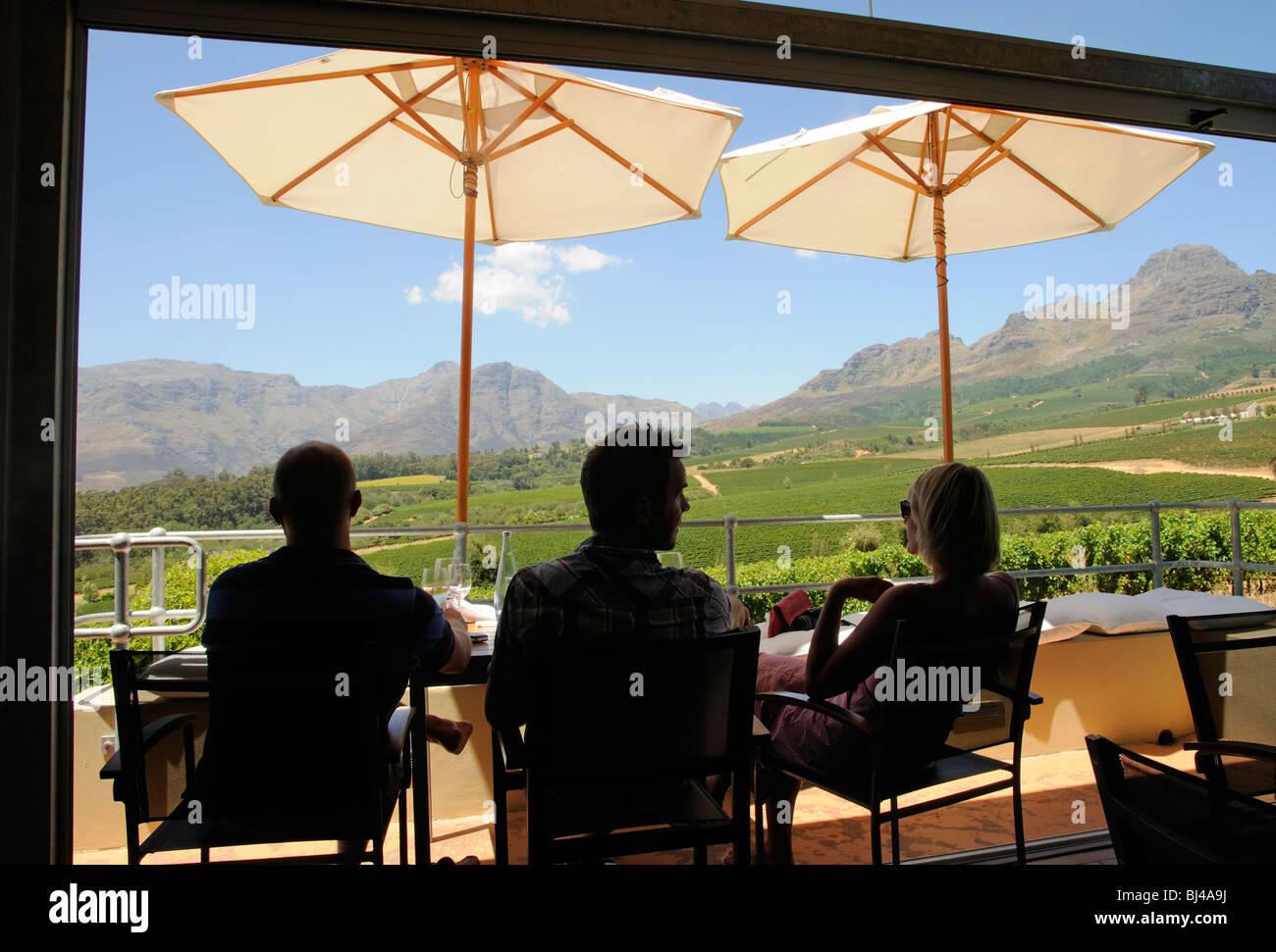 Table pour trois donnant sur vignes sur les pentes de la montagne Helderberg près de Stellenbosch en Afrique du Sud s Banque D'Images