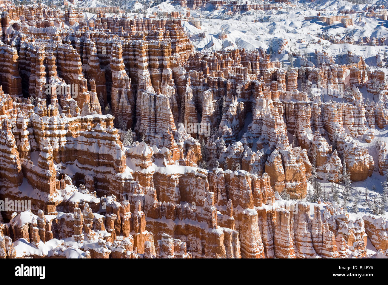 La neige a couvert les cheminées à Bryce Canyon National Park, Utah. Banque D'Images