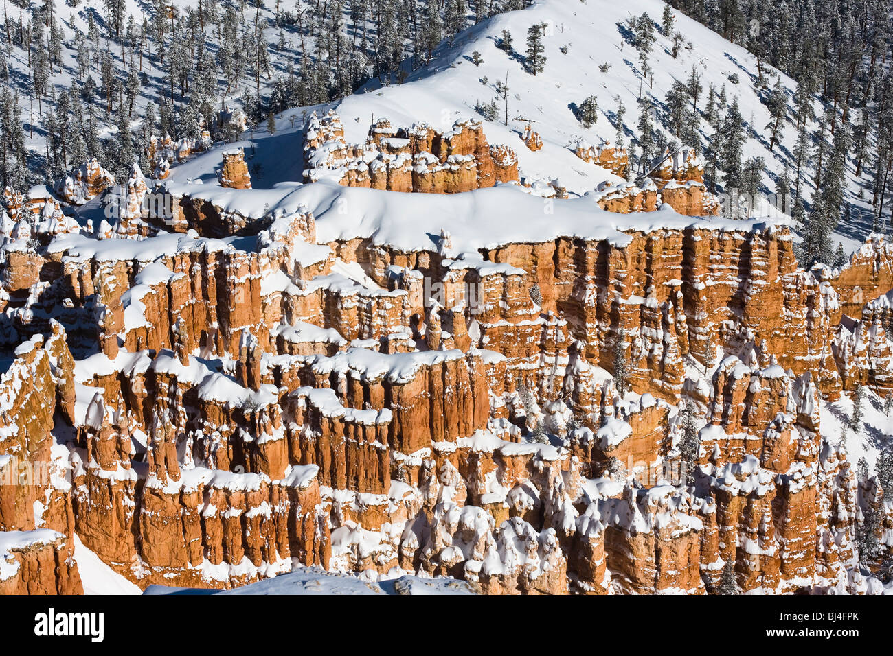 La neige a couvert les cheminées à Bryce Canyon National Park, Utah. Banque D'Images