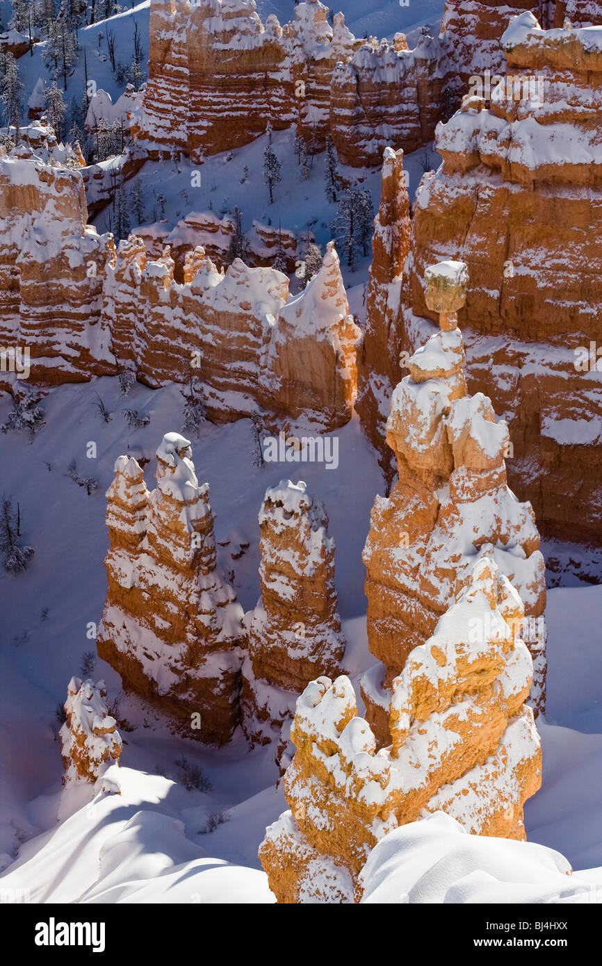 La neige a couvert les cheminées à Bryce Canyon National Park, Utah. Banque D'Images