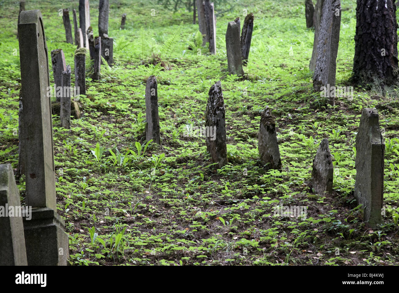 Vieux cimetière juif de Trebic (Moravie, République tchèque). Patrimoine de l'UNESCO. Banque D'Images