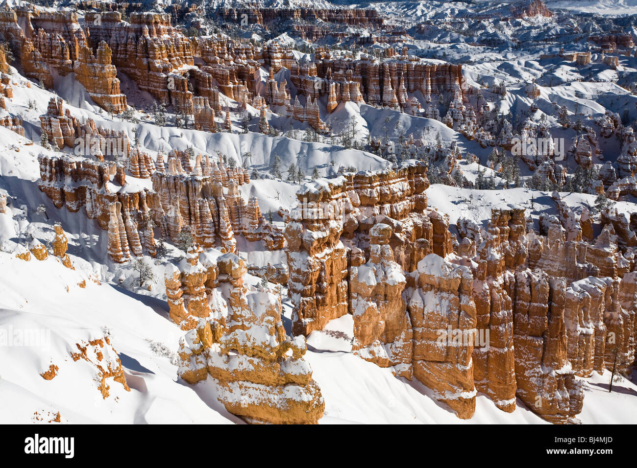 La neige a couvert les cheminées à Bryce Canyon National Park, Utah. Banque D'Images