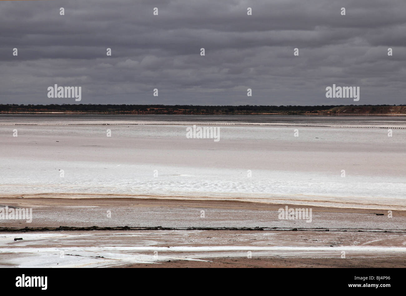 Lake Hart, l'Australie du Sud Banque D'Images