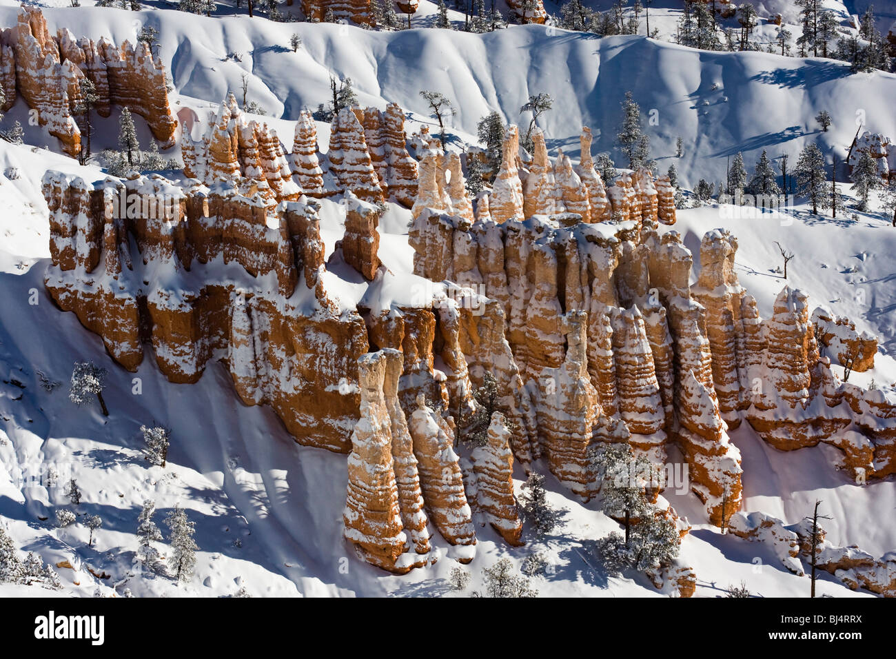 La neige a couvert les cheminées à Bryce Canyon National Park, Utah. Banque D'Images