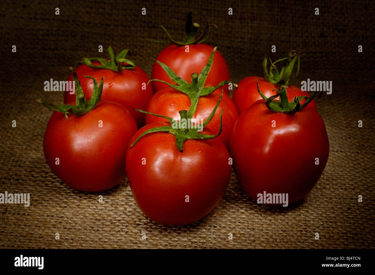 Tomates appétissantes peint à la lumière de la vie encore Banque D'Images