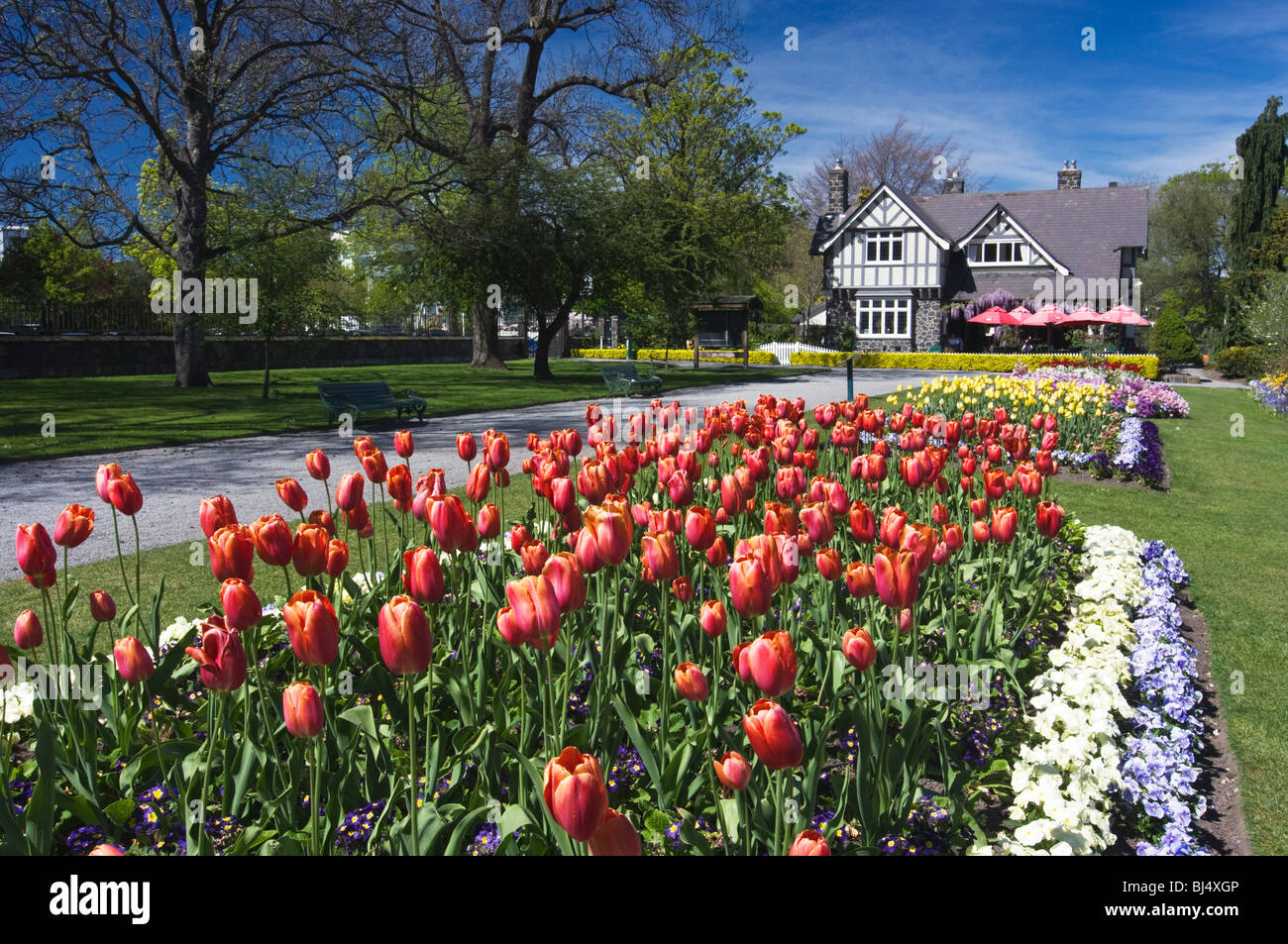 Un lit de tulipes à fleurs et les commissaires Cottage, jardins botaniques de Christchurch, Nouvelle-Zélande Banque D'Images