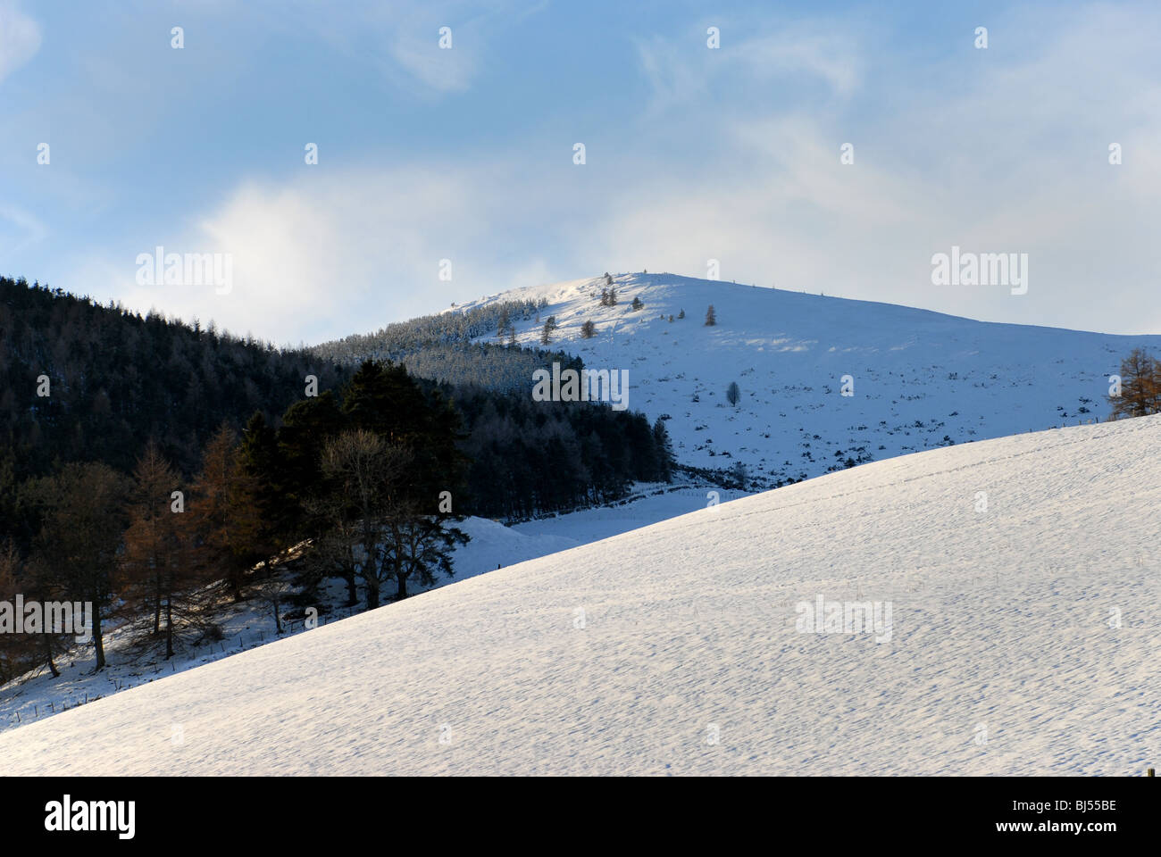 Distand Ben Newe baignée de soleil d'hiver au-delà du champ en pente couverte de neige et de la forêt Banque D'Images