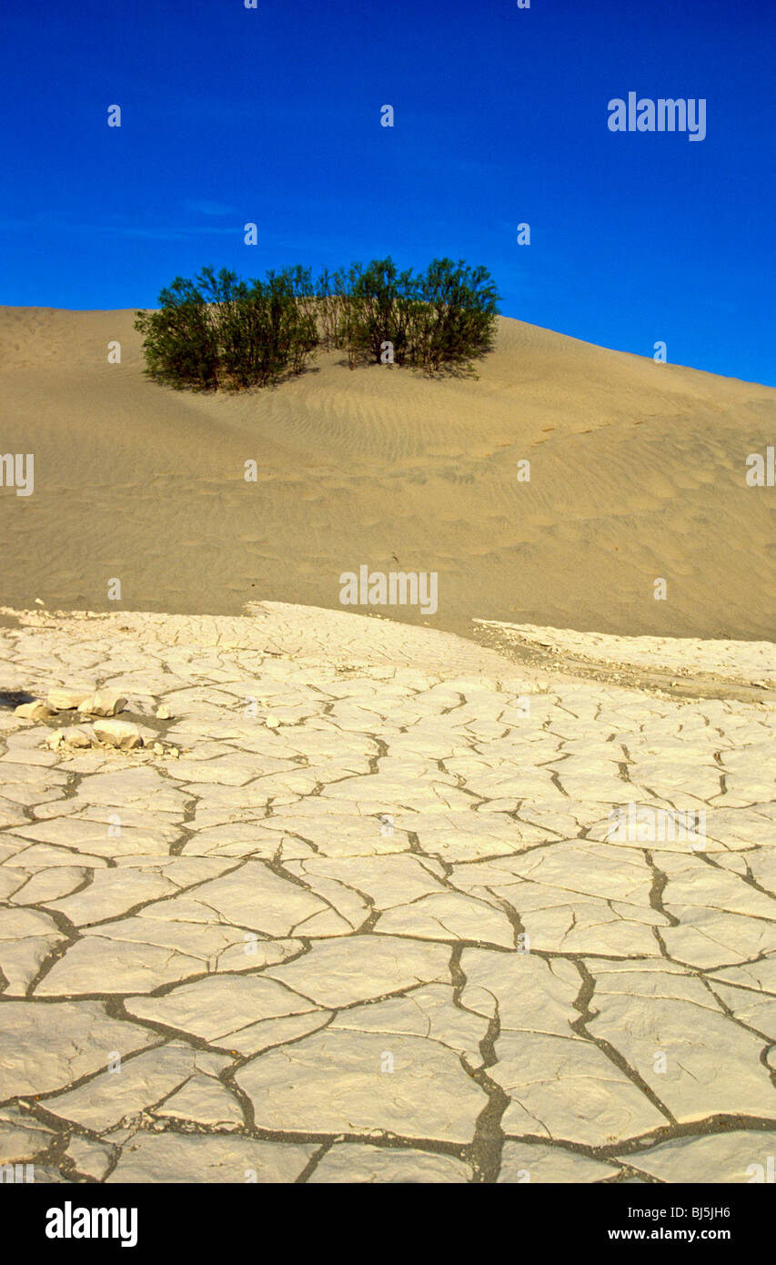 La boue se rétrécit en un réseau de fissures au milieu des dunes de sable de Death Valley National Park Californie USA Banque D'Images