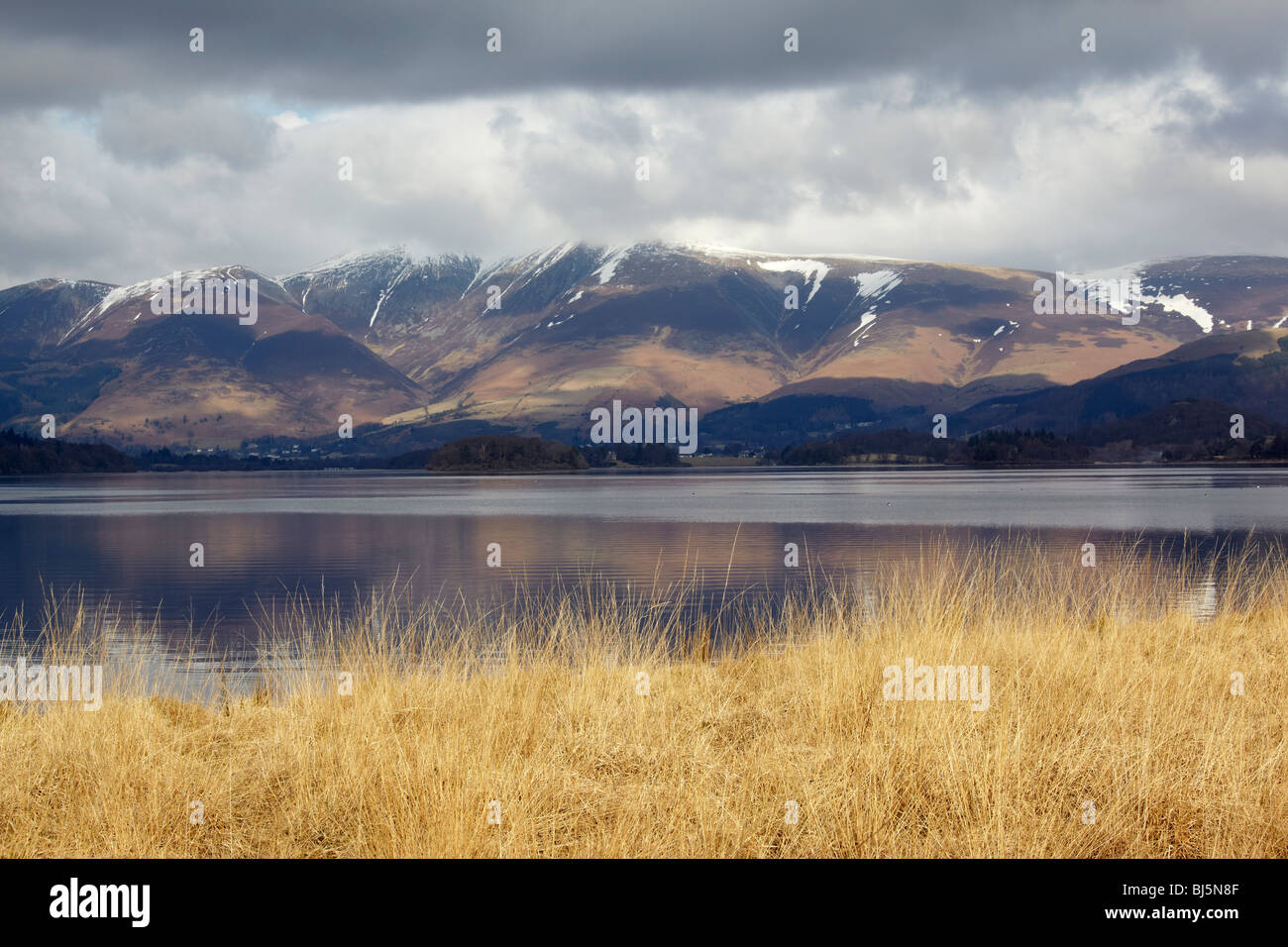 Une vue d'hiver sur Skiddaw od de Derwentwater Manesty Park , Parc National de Lake District, Cumbria Banque D'Images