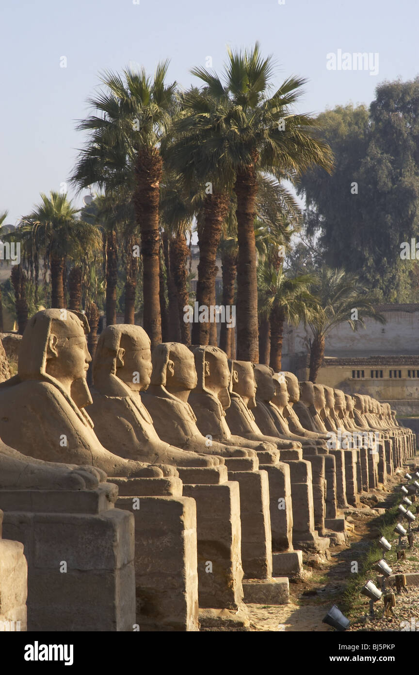 L'Égypte. TEMPLE de Louxor. Sphinx Avenue. Nouveau Royaume. Thèbes antique. Banque D'Images