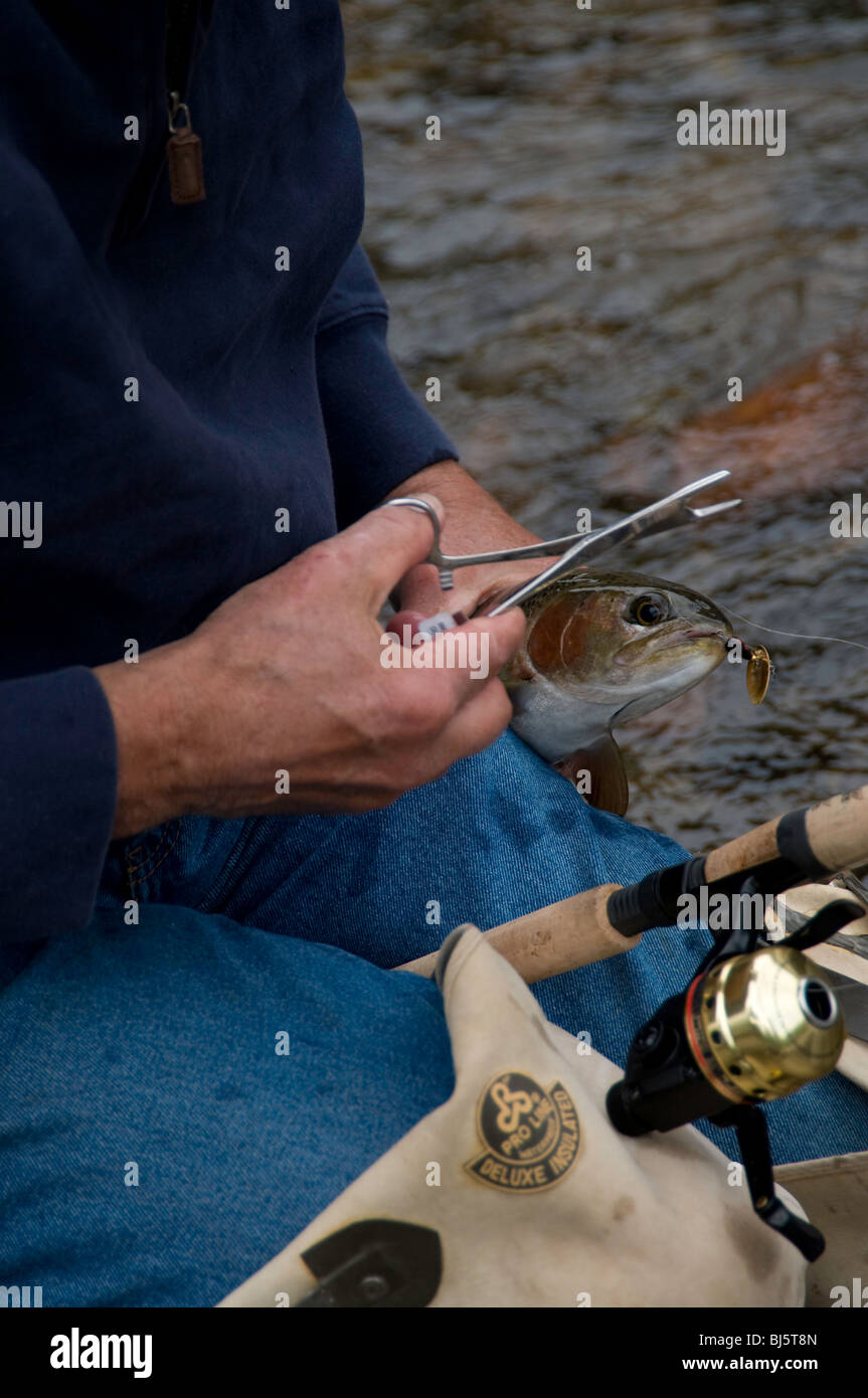 Dépose de pêcheur, crochet de pêche avec remise à l'eau, fontaine, Banque D'Images