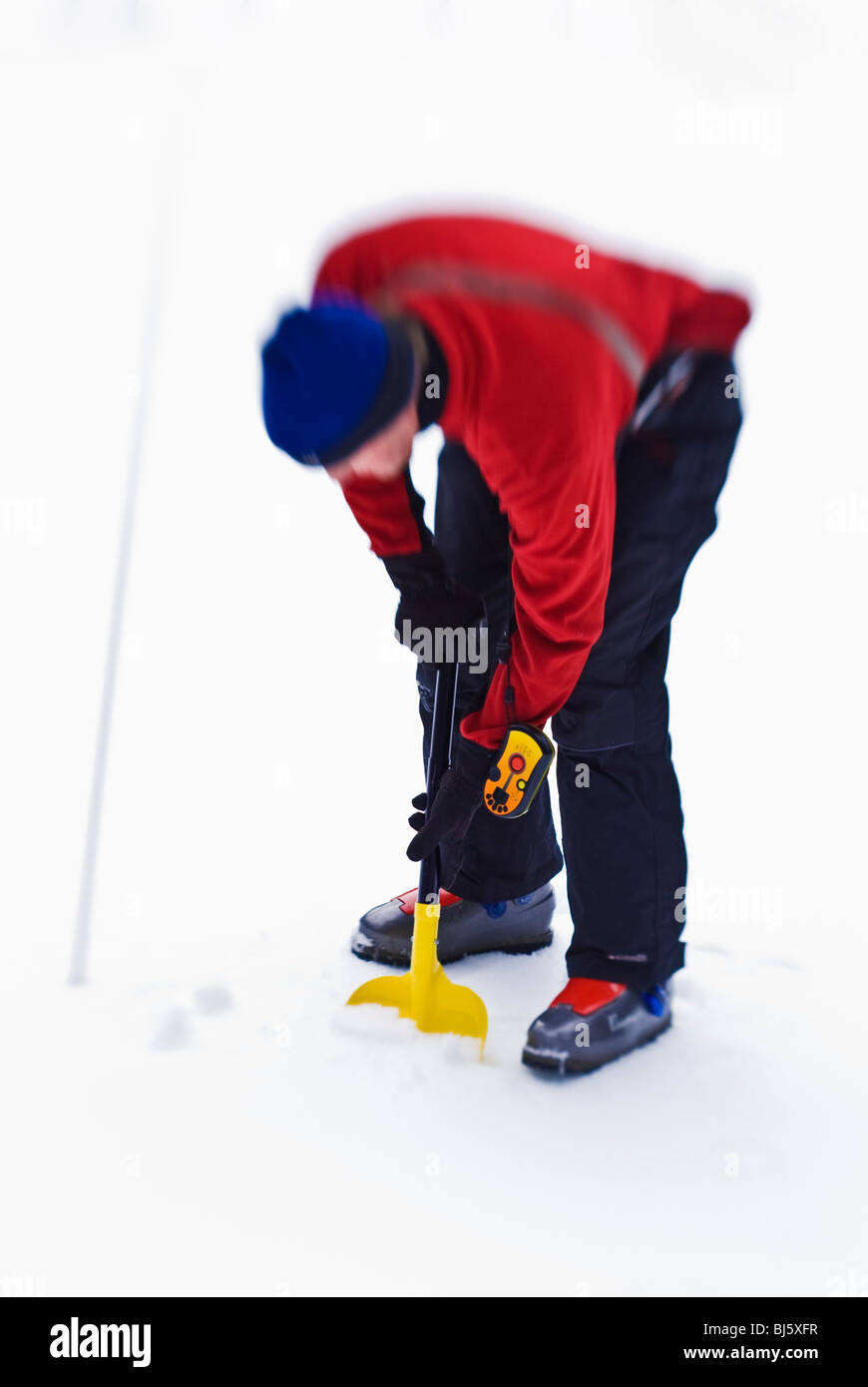 À l'aide d'un skieur dans l'avalanche, sonde et pelle pour localiser un skieur, Sequoia National Park, Californie Banque D'Images