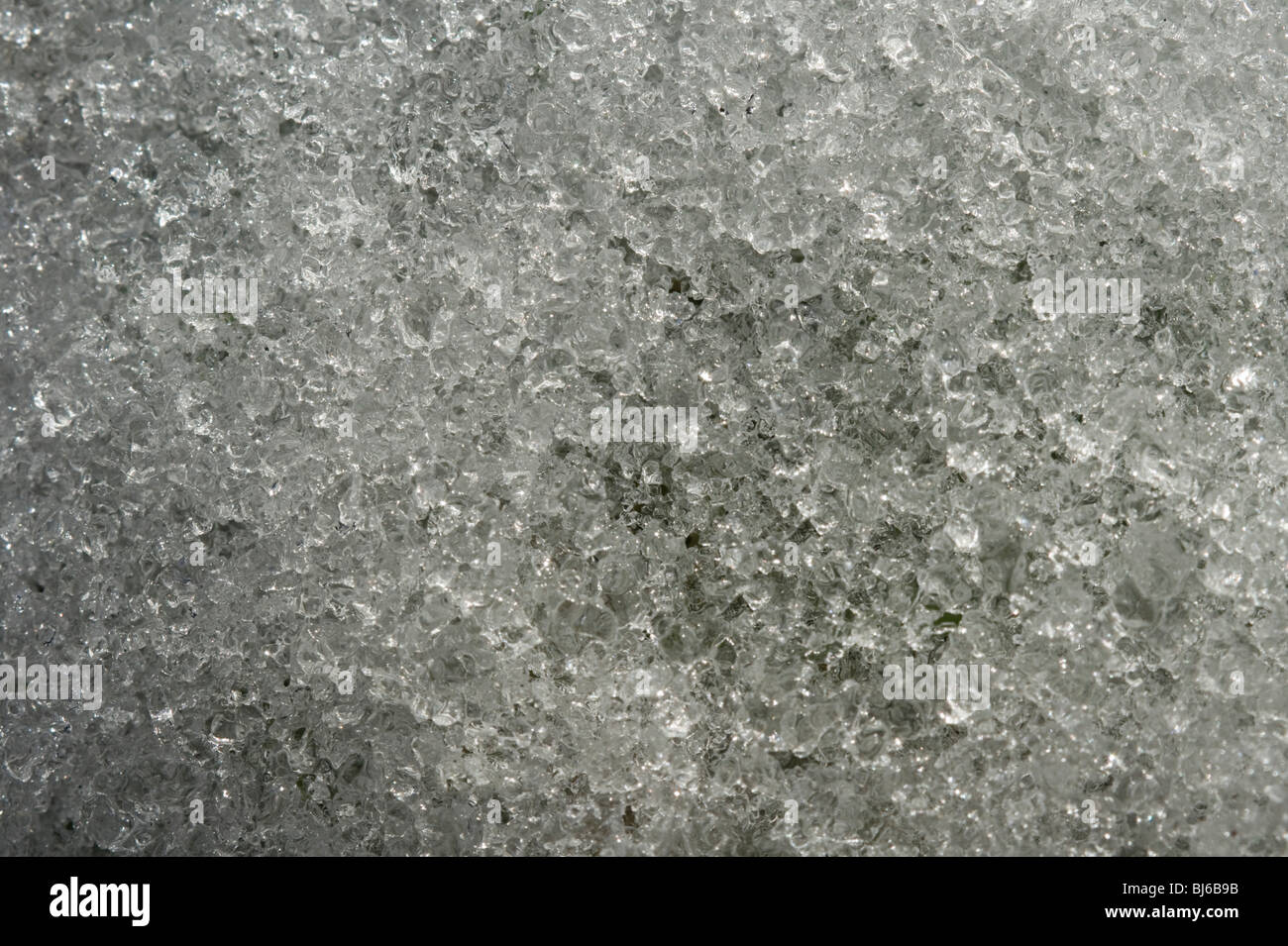 Les cristaux de glace de neige fraîche après quelques jours allongé sur l'herbe - la structure de la neige devient glace granulé Banque D'Images