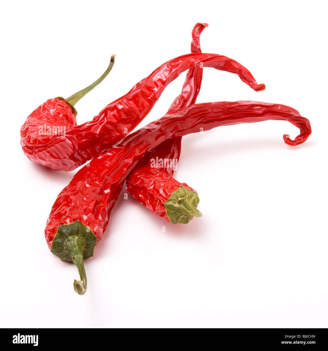 Froissé rouge vibrant chili's isolés contre fond blanc avec une faible concentration. Banque D'Images