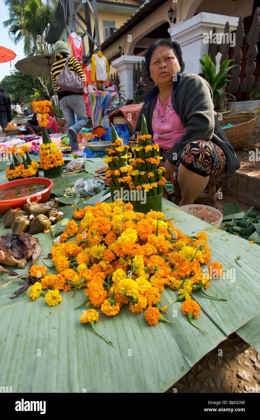 Marigold flower offres temple Luang Prabang market Banque D'Images