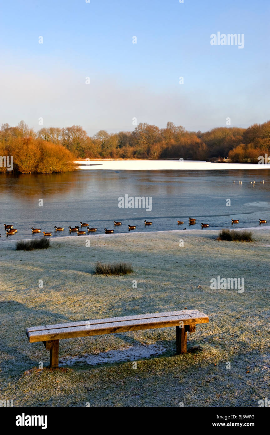 Barden Lake, Tonbridge, Kent, Angleterre en winter sunshine Banque D'Images