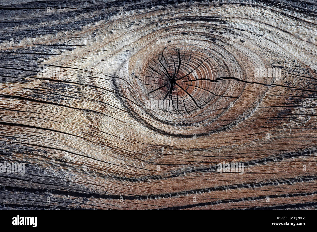 Texture bois avec nob - résumé Banque D'Images