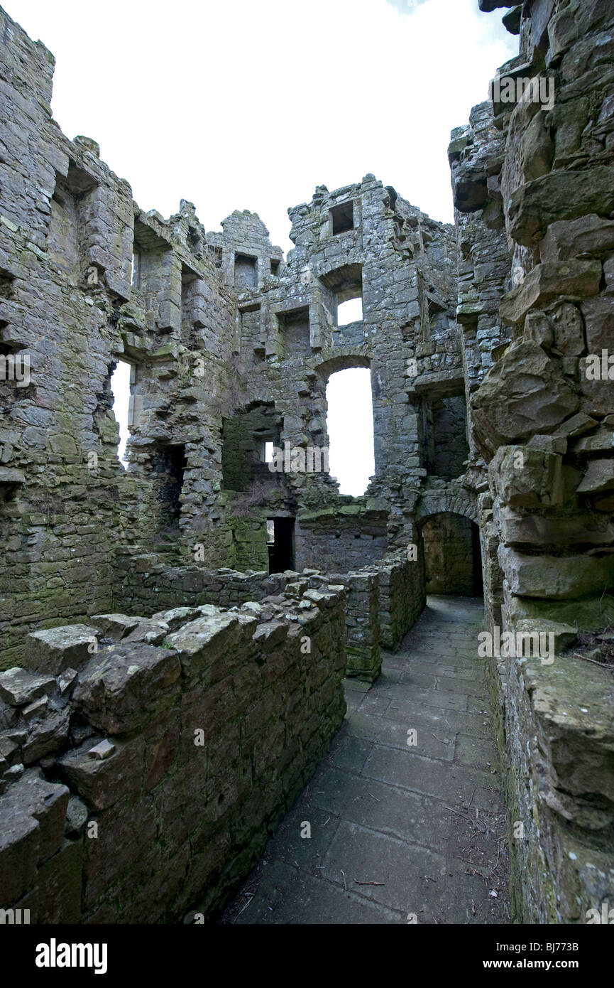 Monea Castle, comté de Fermanagh Banque D'Images