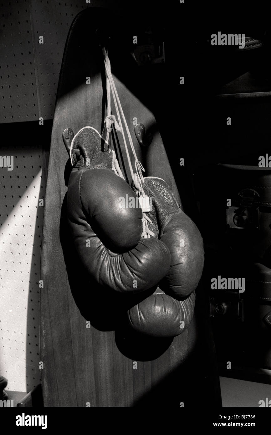 Gants de boxe suspendu à planche de surf Banque D'Images