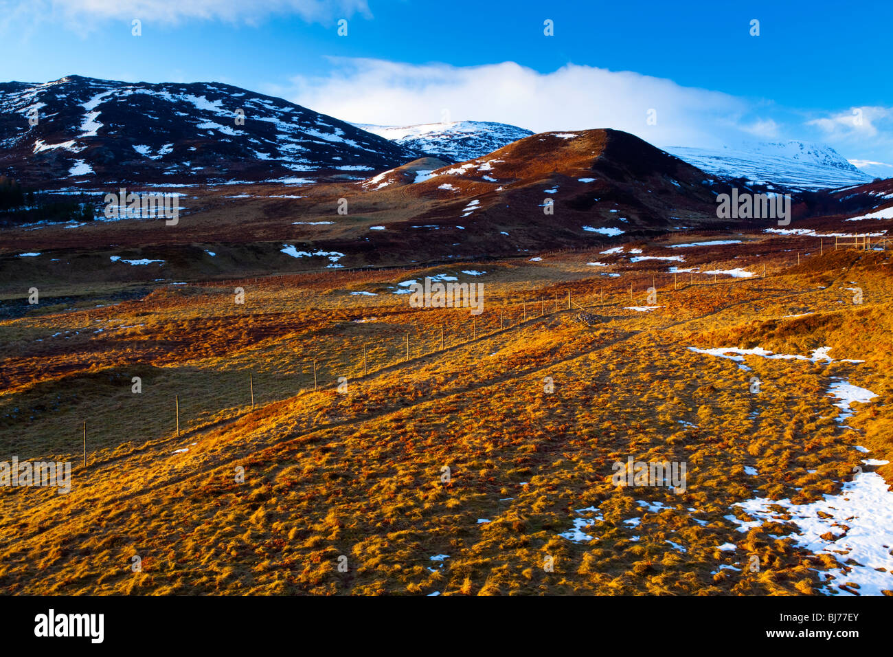 L'Écosse, les Highlands écossais, le Parc National de Cairngorms. Avis de Glen Banchor près de Newtonmore Banque D'Images
