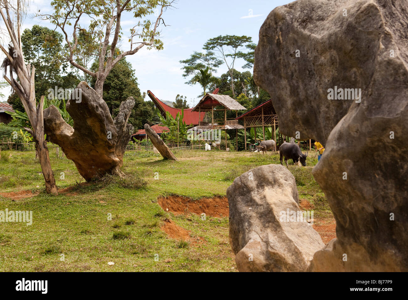 L'Indonésie, Sulawesi, Tana Toraja, rante, site funéraire royal forme inhabituelle, mégalithes de pierre Banque D'Images