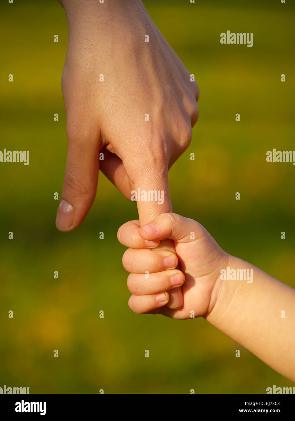 Baby's hand holding un gros doigt Banque D'Images