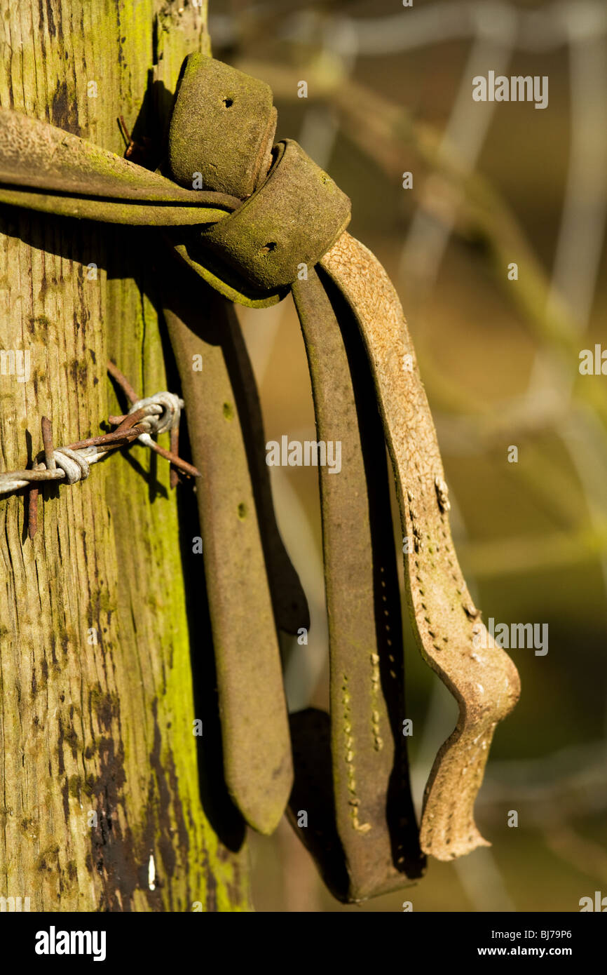 Un bracelet en cuir assure une porte rustique , à la périphérie de Thurcroft, Rotherham South Yorkshire. Banque D'Images