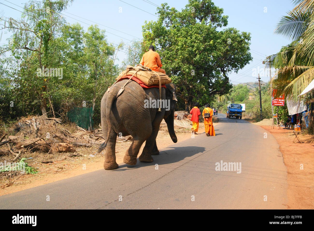 Temple indien elephant Banque D'Images