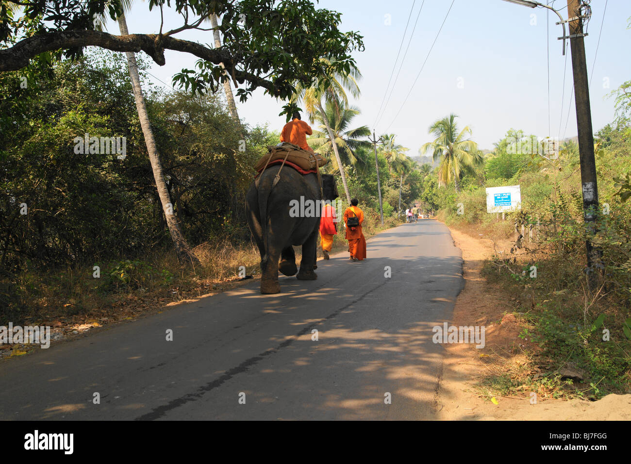 L'éléphant du Temple, chauffeur, décoré d'éléphants indiens Banque D'Images