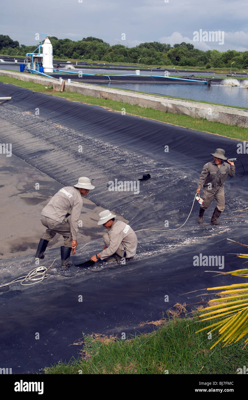 La ferme de crevettes, Brunéi Darussalam Banque D'Images