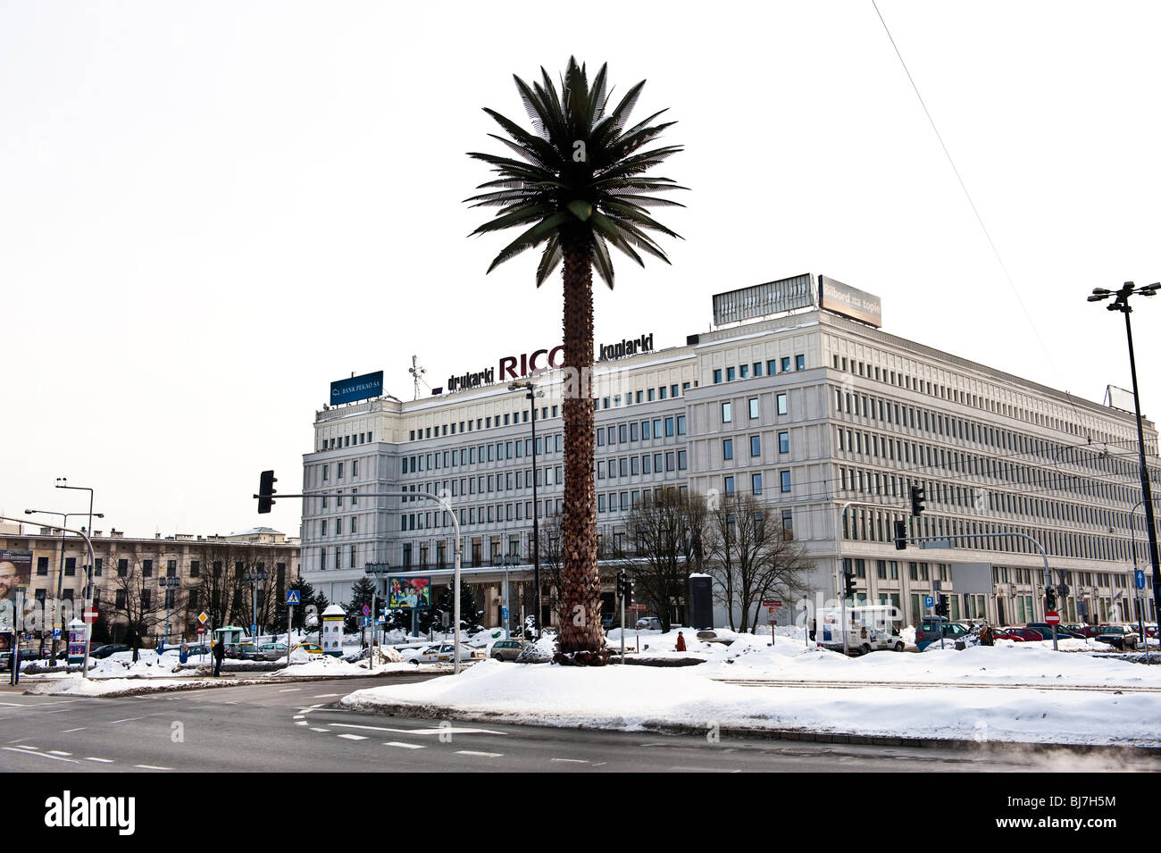 Palmier artificiel au milieu de l'intersection entre Aleja Jerozolimskie et à Varsovie Nowy Swiat Pologne Banque D'Images