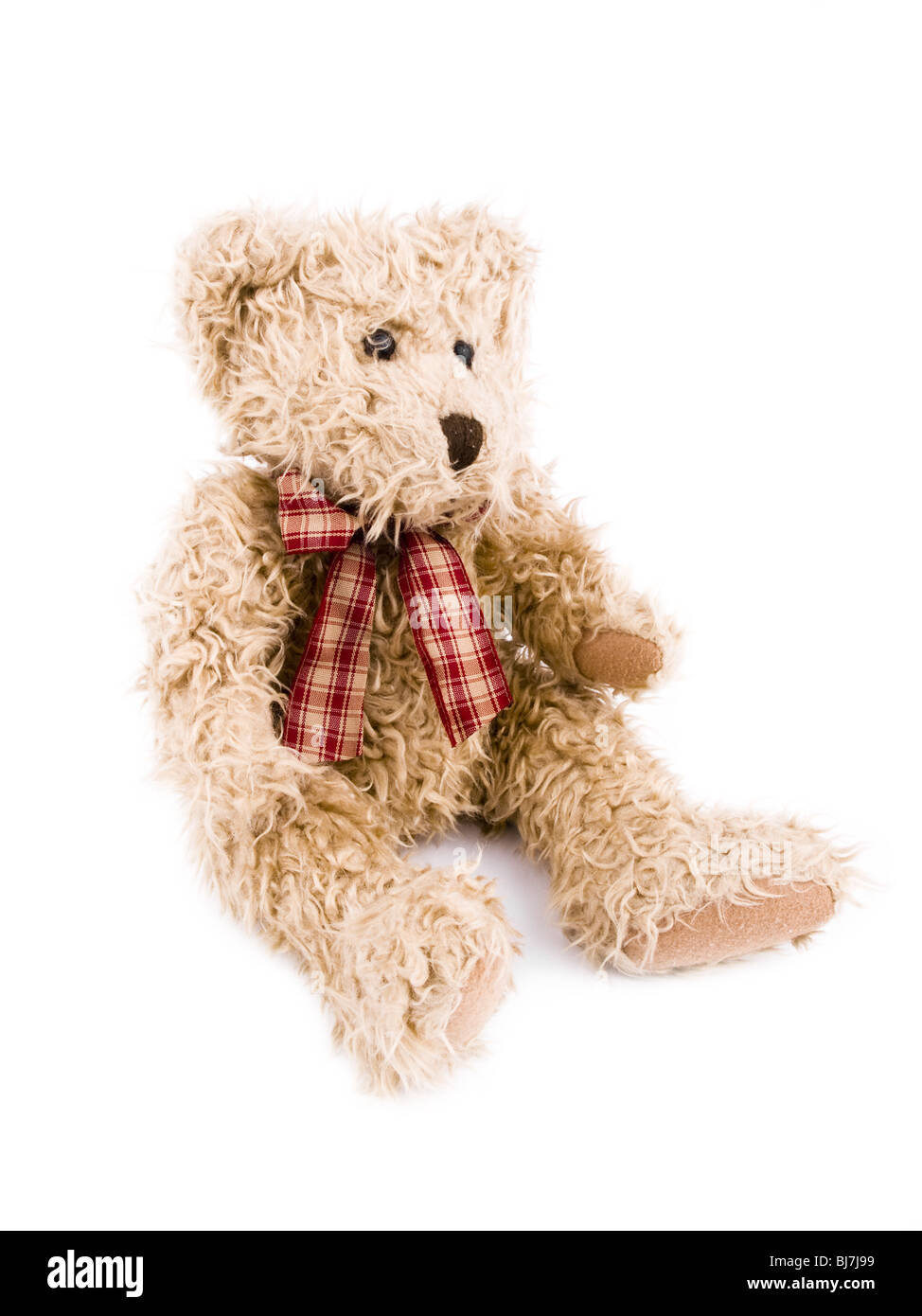 Teddy-bear marron sur fond blanc. Banque D'Images