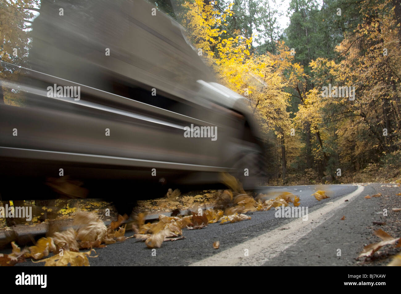 La vitesse des camions semi un par un flou en jetant les feuilles d'automne sur une route dans le Parc National Yosemite. Banque D'Images