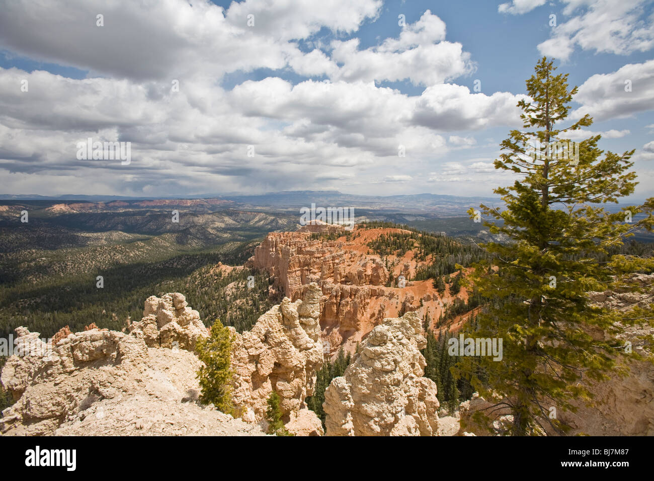 Le Parc National de Bryce Canyon dans l'Utah, USA Banque D'Images