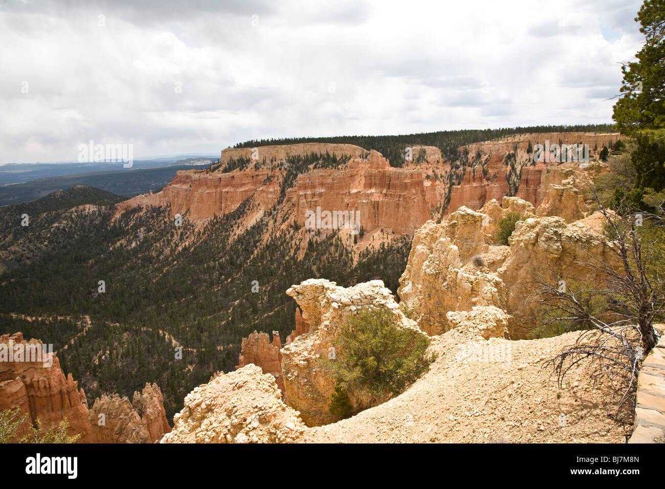 Le Parc National de Bryce Canyon dans l'Utah, USA Banque D'Images