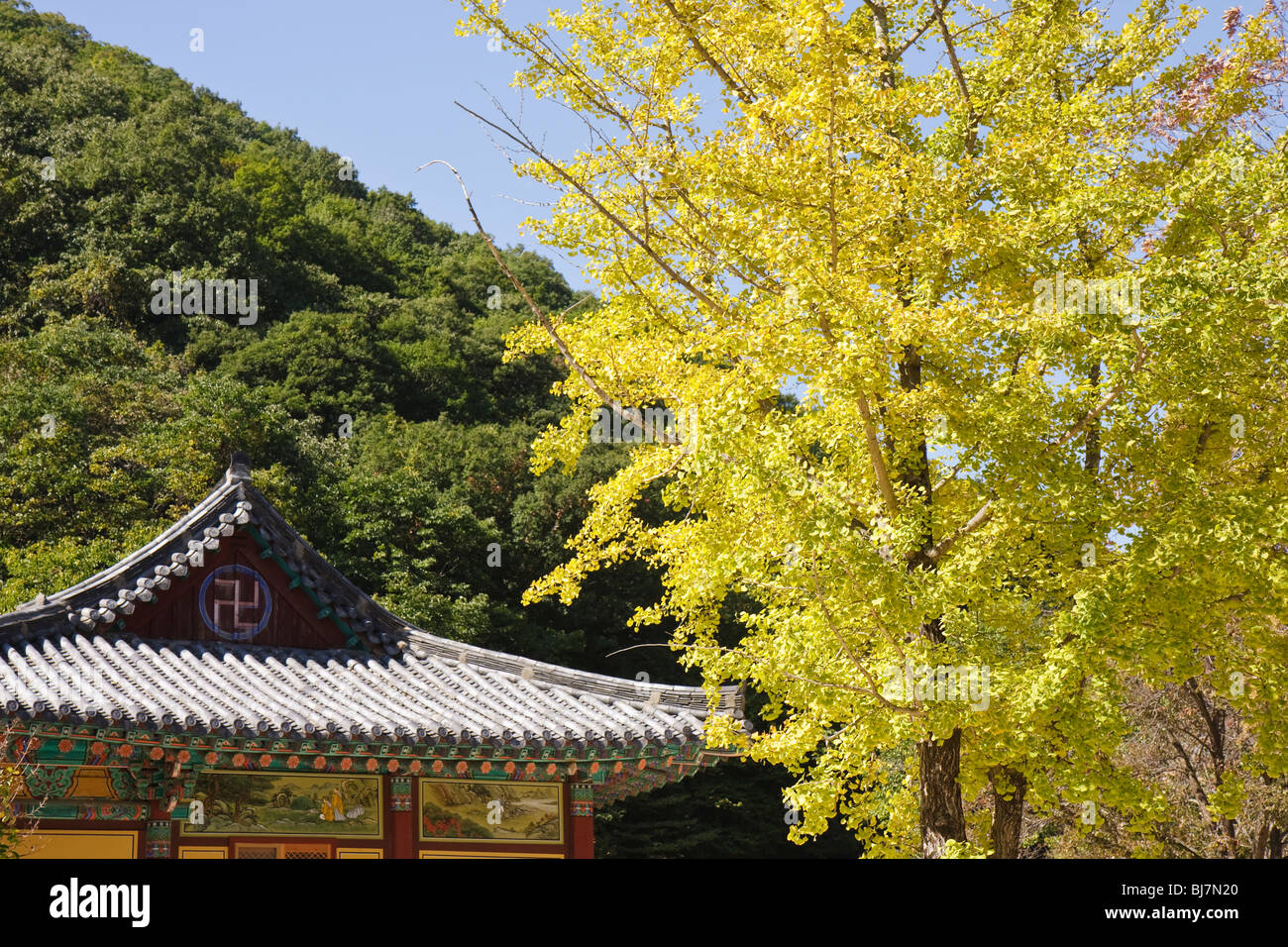 L'Shingeung Seoraksan-sa Temple toit et couleurs d'automne Banque D'Images
