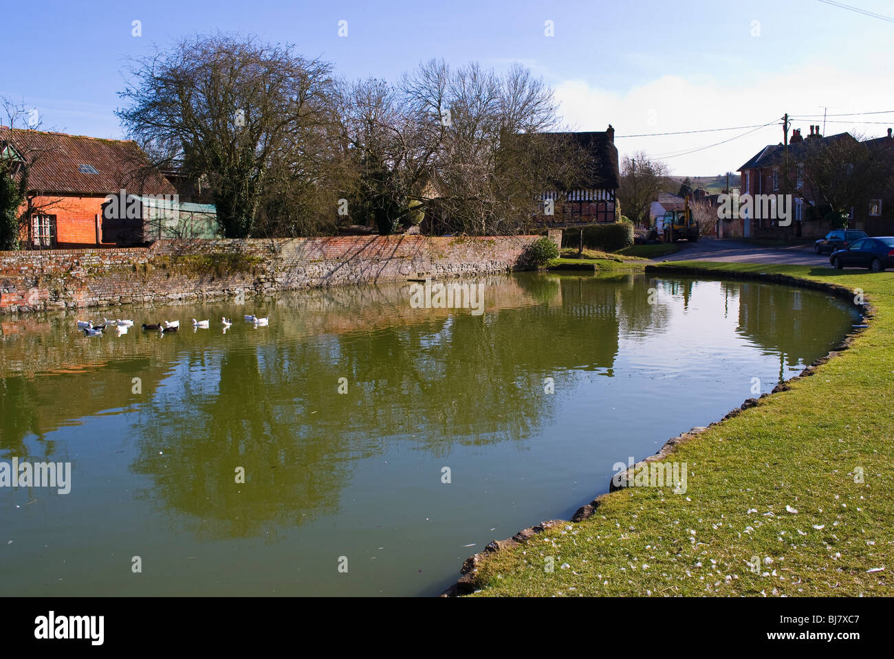 Urchfont duck pond village dans le Wiltshire UK Banque D'Images