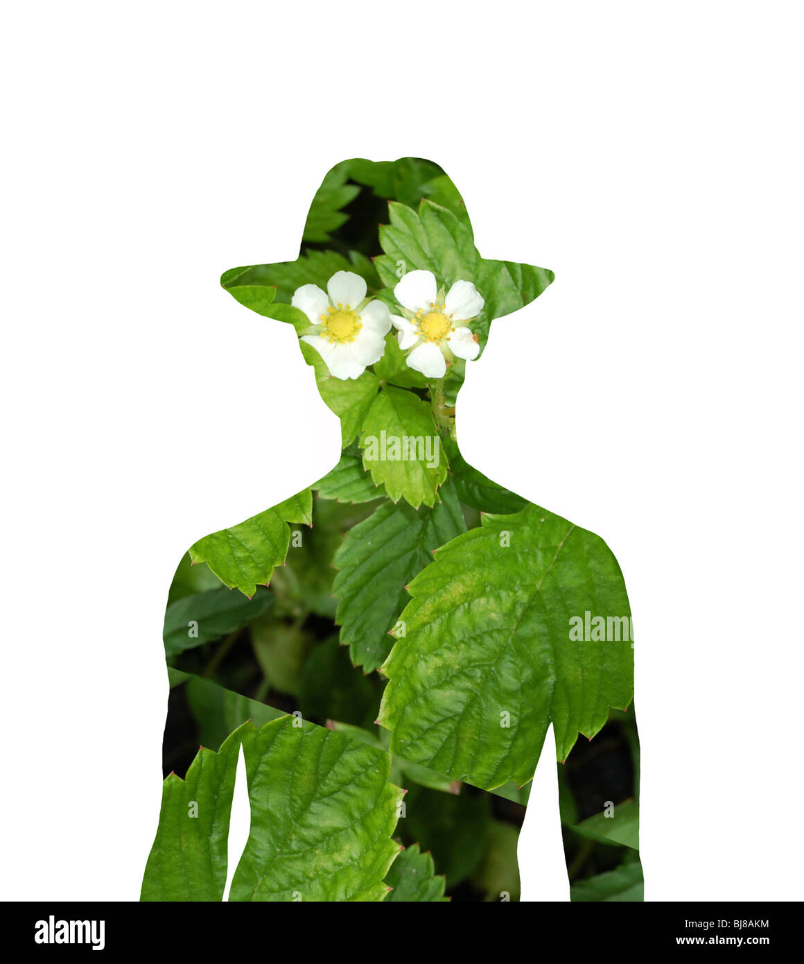 L'homme aux yeux tristes et un gros cigare vert dans sa bouche. Banque D'Images