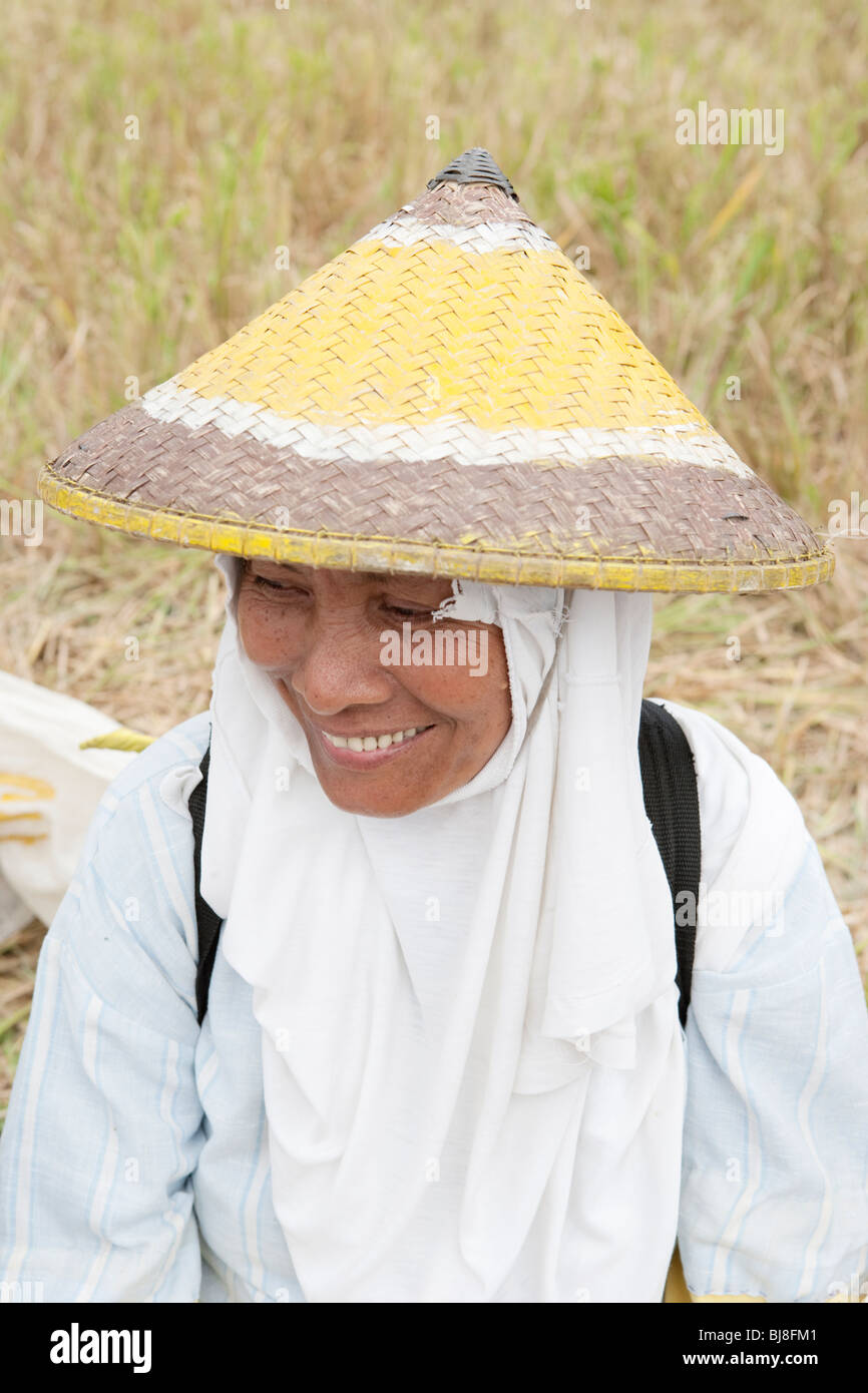 Portrait de femme au cours de la récolte de riz du village ; Batangas ; le sud de Luzon, Philippines Banque D'Images