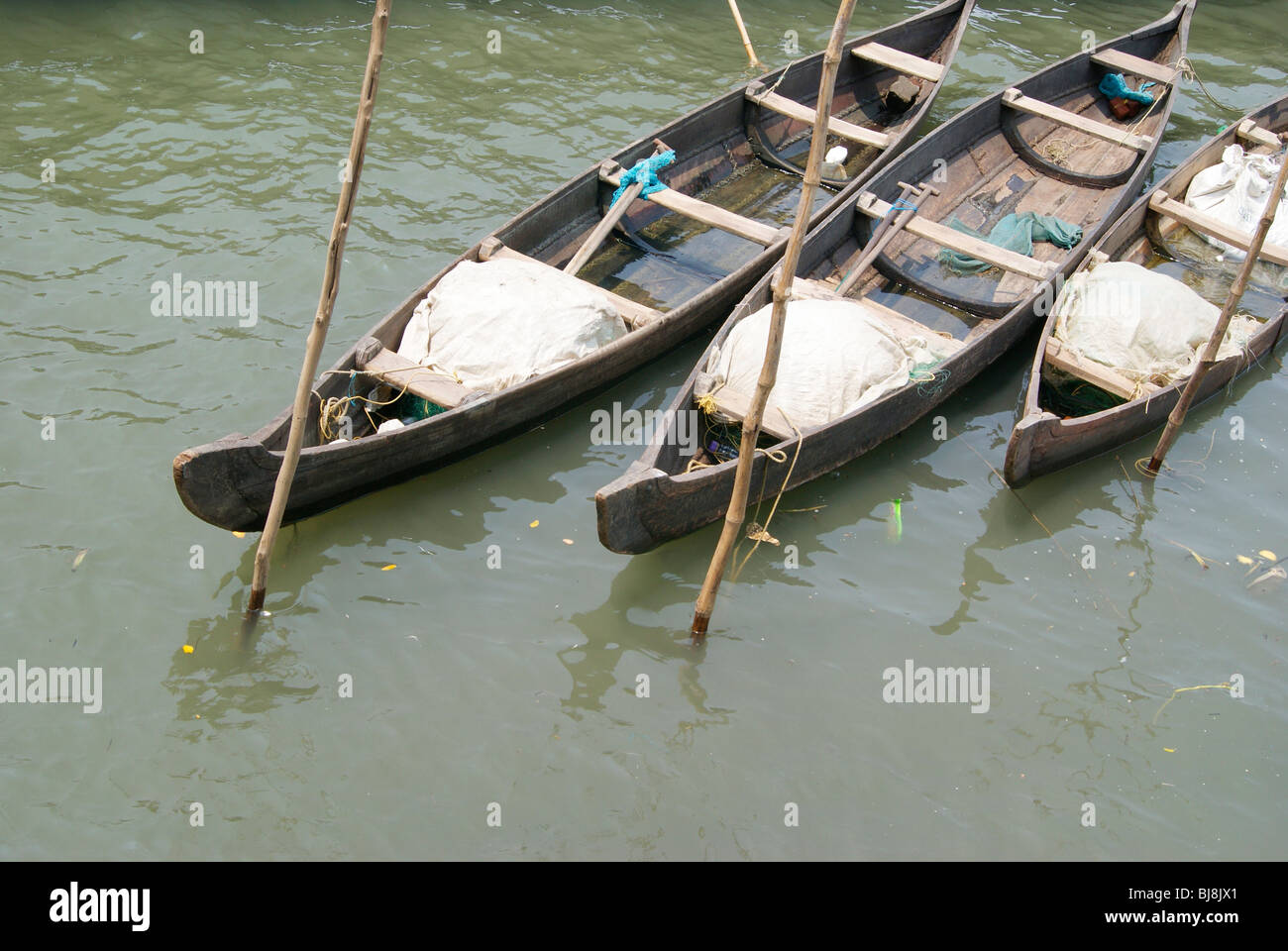 Les petits bateaux de pêcheurs canot en bois disposées et ancrée dans une manière élégante près de Cochin Port,mer,Kerala Inde Banque D'Images