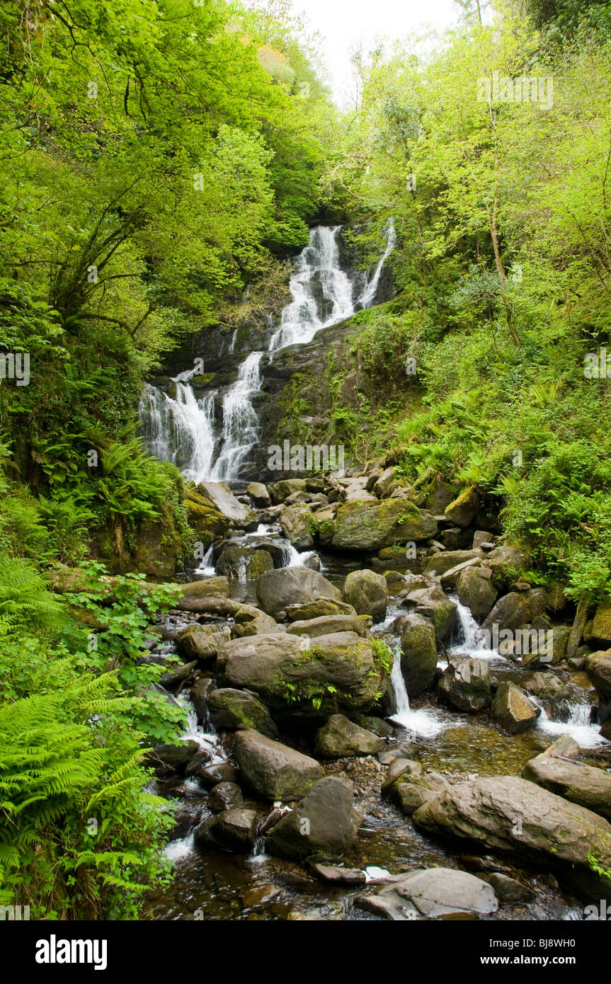 Torc Waterfall, près de Killarney, comté de Kerry, Irlande Banque D'Images