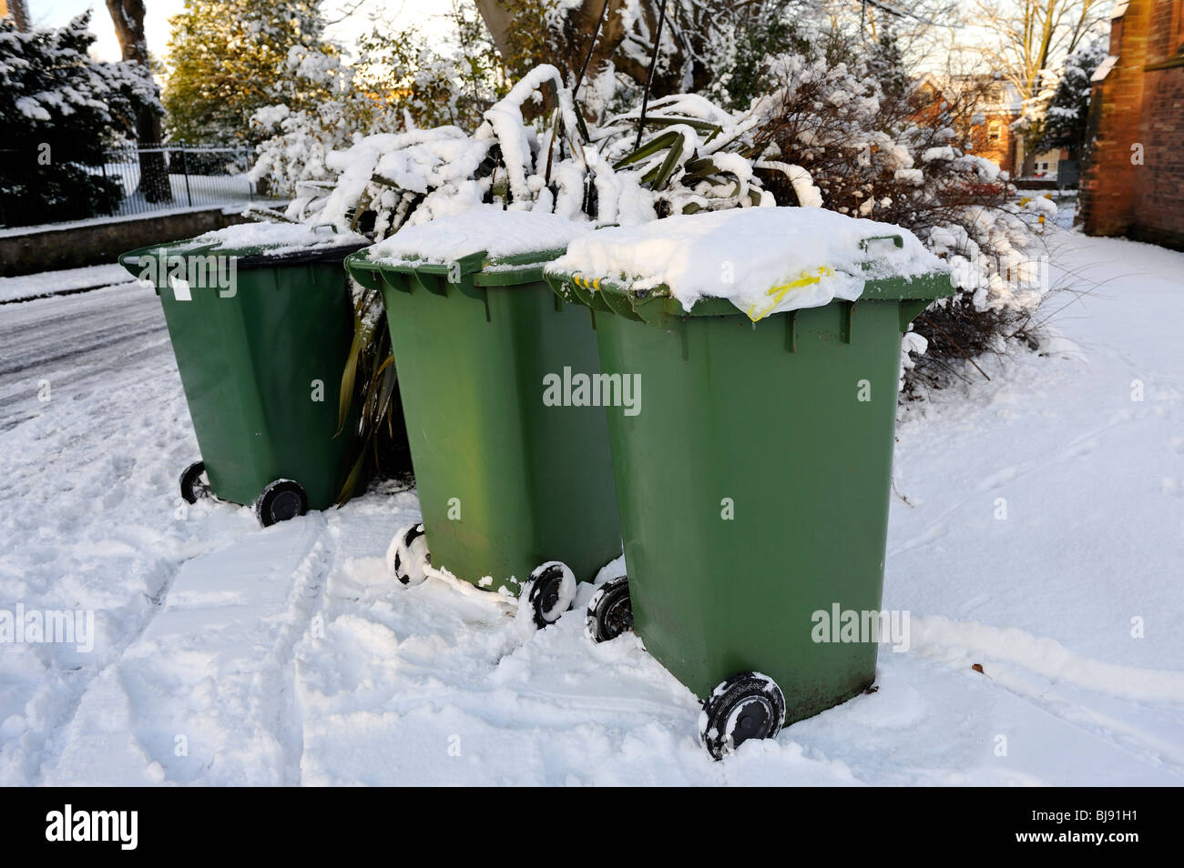 3 green wheelie bins couvertes de neige Banque D'Images